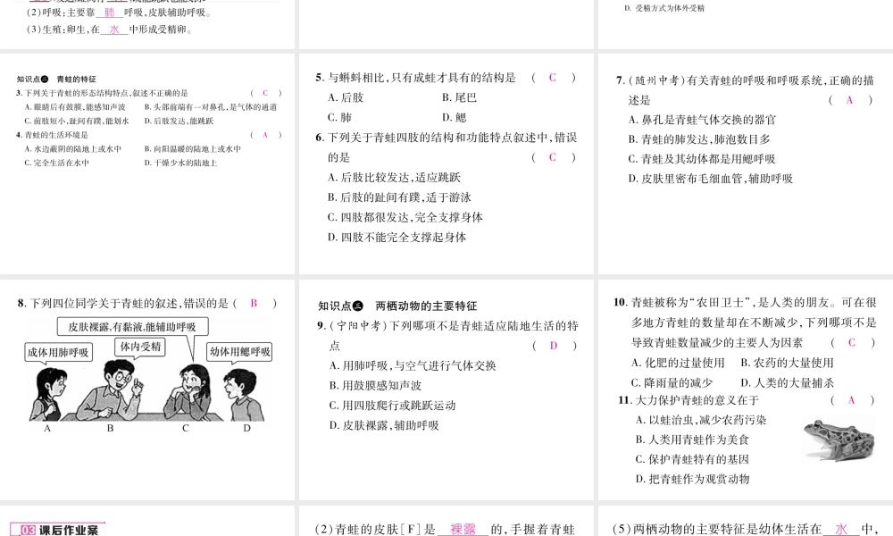 八年级生物上册 第五单元 第1章 第五节 两栖动物和爬行（第1课时 两栖动物）课件 （新版）新人教版-（新版）新人教版初中八年级上册生物课件