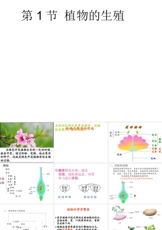 八年级生物上册 第7单元 第19章 第1节 植物的生殖课件1 （新版）苏科版-（新版）苏科版初中八年级上册生物课件