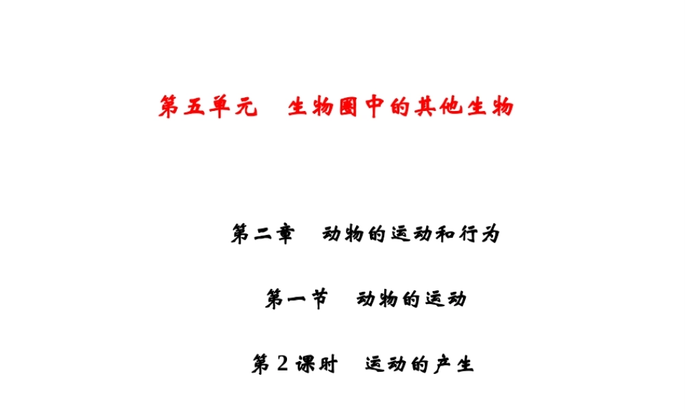 八年级生物上册 第5单元 第2章 第1节 动物的运动（第2课时 运动的产生）习题课件 （新版）新人教版-（新版）新人教级上册生物课件