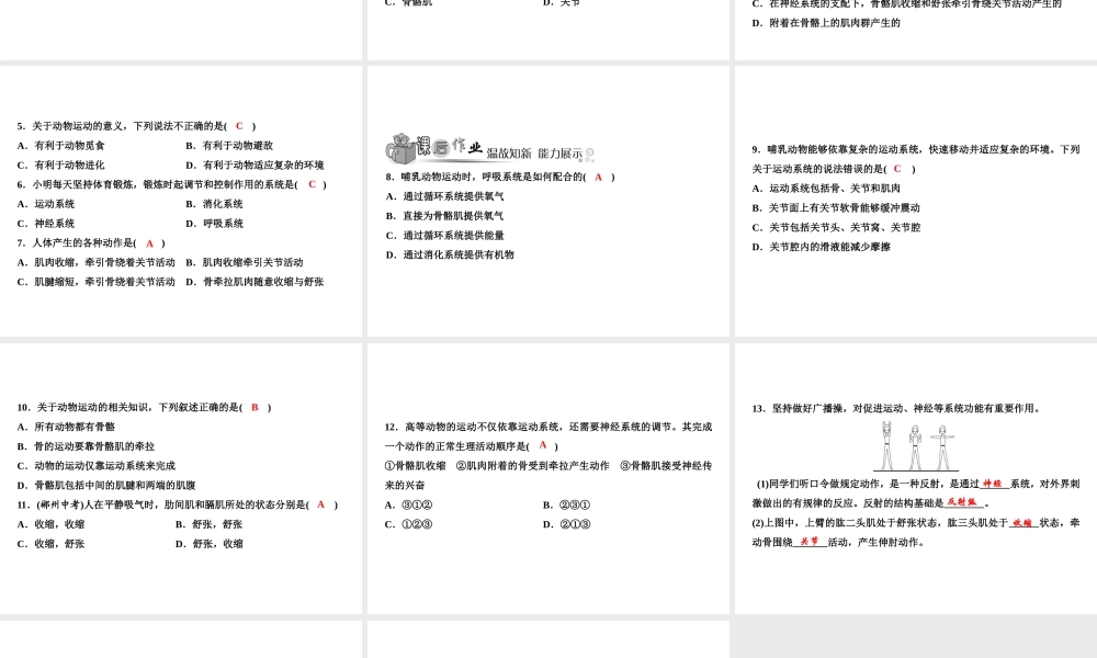 八年级生物上册 第5单元 第2章 第1节 动物的运动（第2课时 运动的产生）习题课件 （新版）新人教版-（新版）新人教级上册生物课件