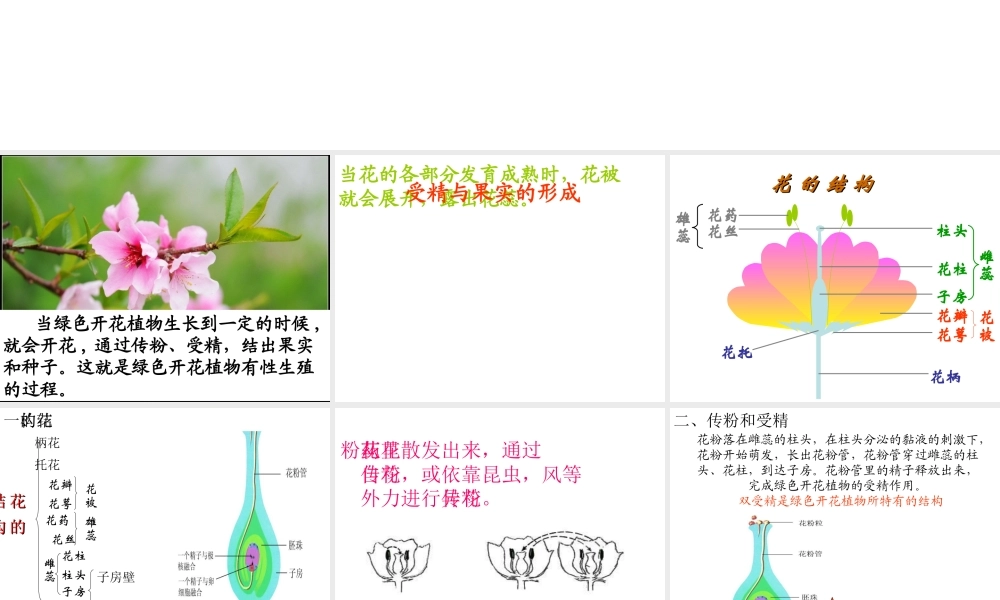 八年级生物上册 第7单元 第19章 第1节 植物的生殖课件1 （新版）苏科版-（新版）苏科级上册生物课件