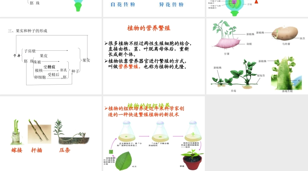 八年级生物上册 第7单元 第19章 第1节 植物的生殖课件1 （新版）苏科版-（新版）苏科级上册生物课件