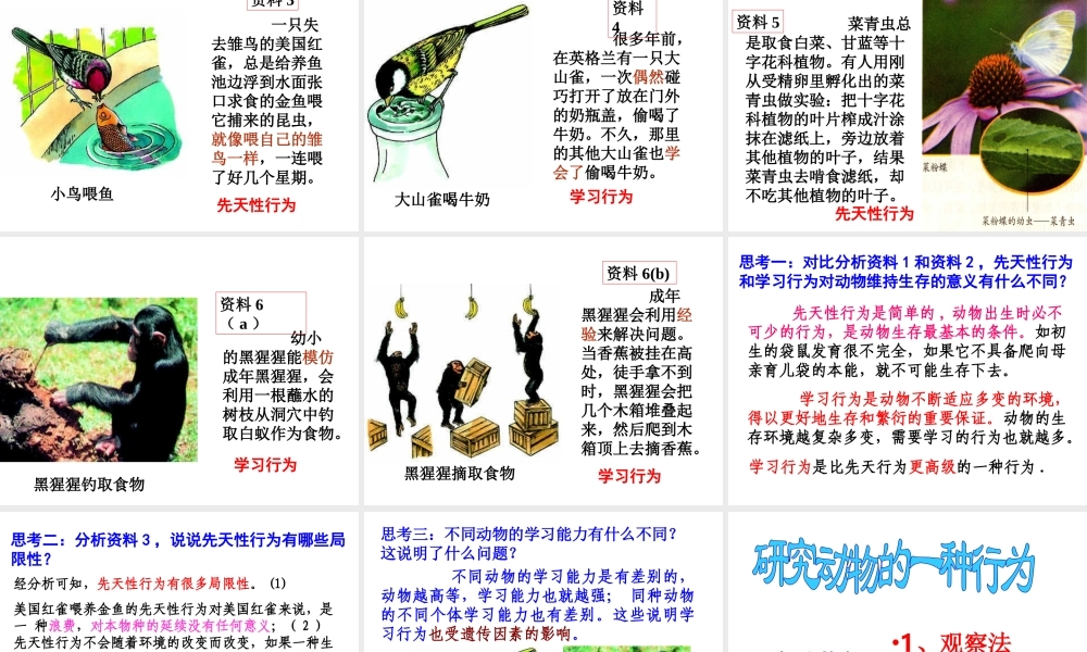 八年级生物上册 第二章 第二节 先天性行为和学习行为课件 新人教版