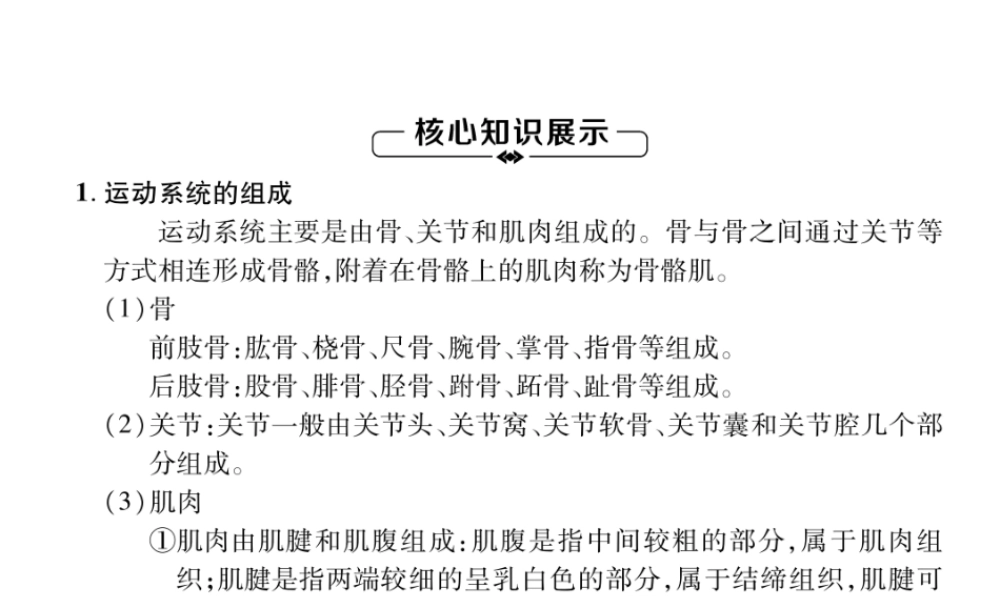八年级生物上册 第5单元 第2章 第1节 动物的运动练习课件 （新版）新人教版-（新版）新人教级上册生物课件