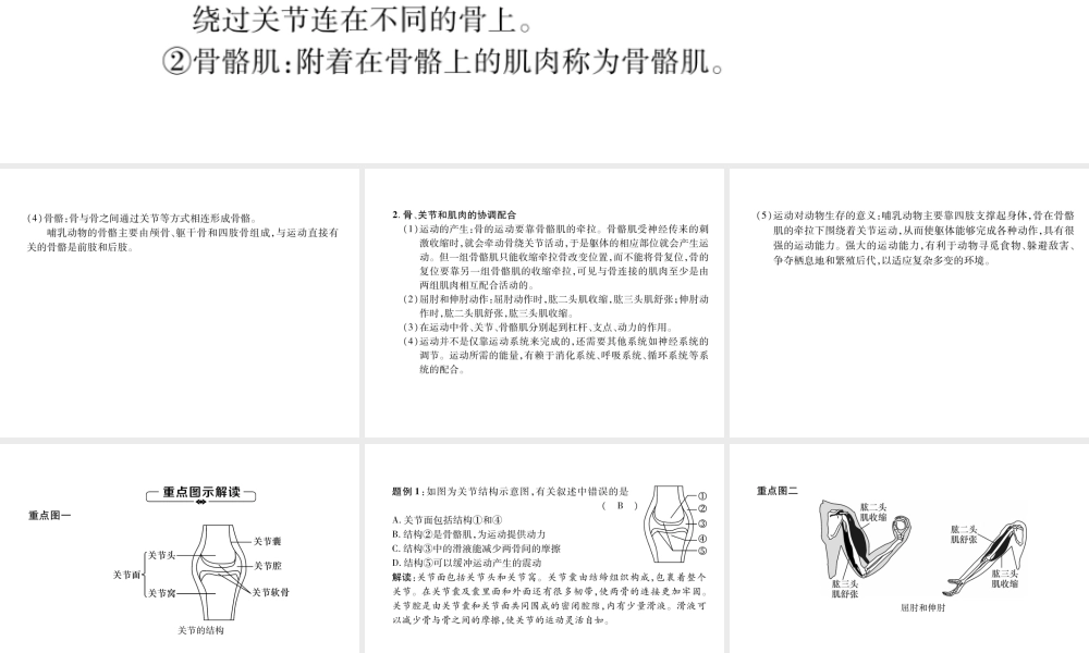 八年级生物上册 第5单元 第2章 第1节 动物的运动练习课件 （新版）新人教版-（新版）新人教级上册生物课件