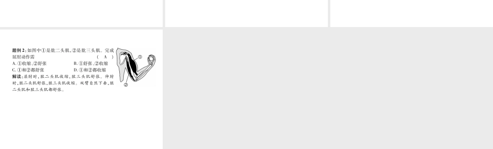 八年级生物上册 第5单元 第2章 第1节 动物的运动练习课件 （新版）新人教版-（新版）新人教级上册生物课件