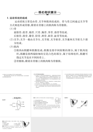 八年级生物上册 第5单元 第2章 第1节 动物的运动练习课件 （新版）新人教版-（新版）新人教级上册生物课件