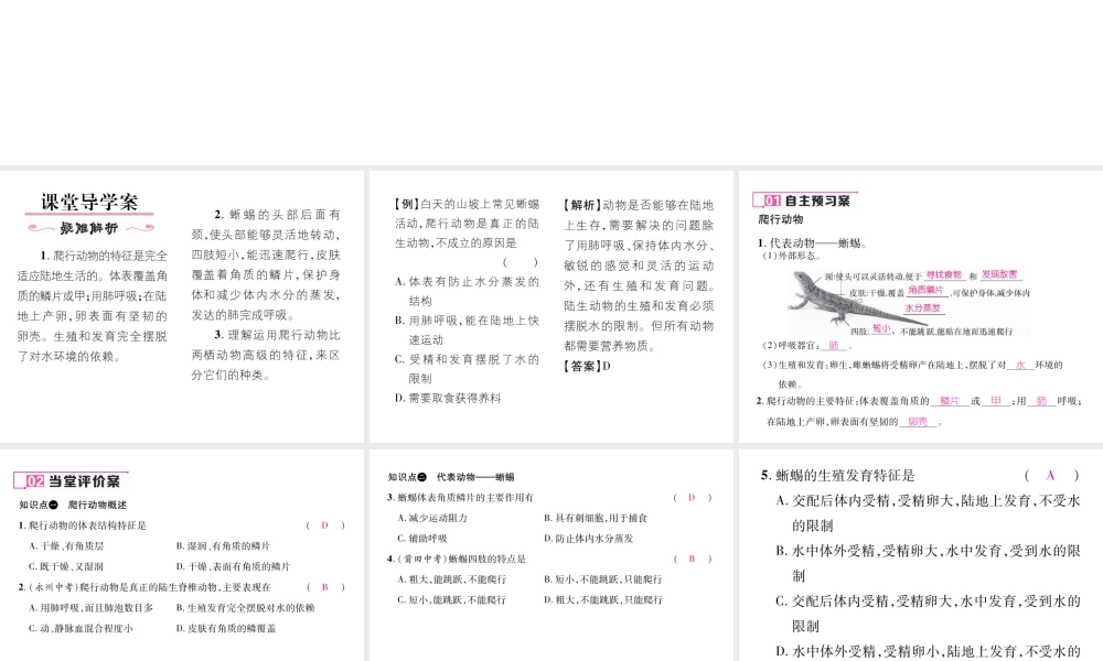 八年级生物上册 第五单元 第1章 第五节 两栖动物和爬行（第2课时 爬行动物）课件 （新版）新人教版-（新版）新人教版初中八年级上册生物课件