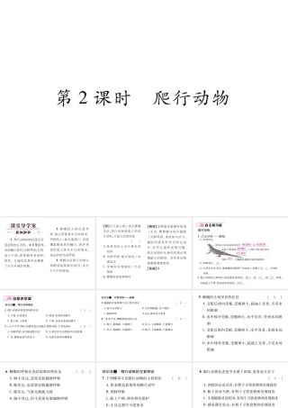 八年级生物上册 第五单元 第1章 第五节 两栖动物和爬行（第2课时 爬行动物）课件 （新版）新人教版-（新版）新人教版初中八年级上册生物课件
