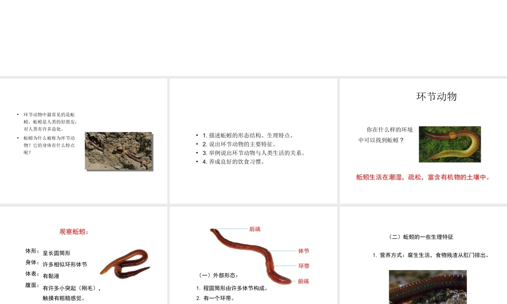 八年级生物上册 第五单元 第一章 第2节《线形动物和环节动物（第2课时）》课件 （新版）新人教版-（新版）新人教版初中八年级上册生物课件