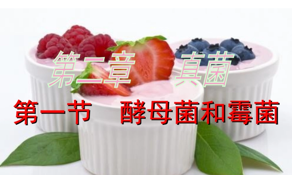 八年级生物上册 第5单元 第2章 第1节 酵母菌和霉菌课件 （新版）冀教版-（新版）冀教版初中八年级上册生物课件