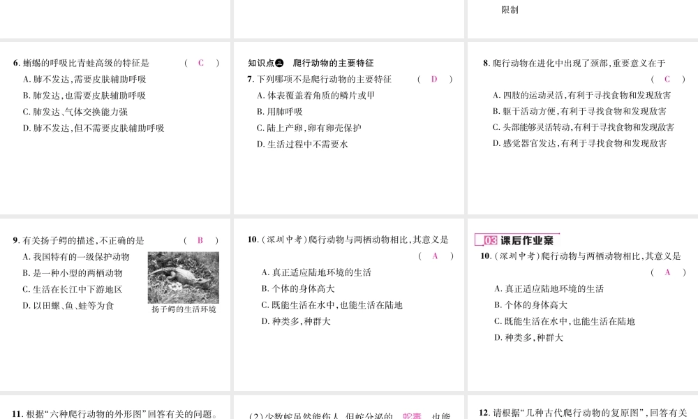 八年级生物上册 第五单元 第1章 第五节 两栖动物和爬行（第2课时 爬行动物）课件 （新版）新人教版-（新版）新人教级上册生物课件