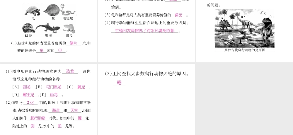八年级生物上册 第五单元 第1章 第五节 两栖动物和爬行（第2课时 爬行动物）课件 （新版）新人教版-（新版）新人教级上册生物课件