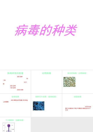 八年级生物上册 第五单元 第一章 第二节 病毒 病毒的种类课件 冀少版-人教版初中八年级上册生物课件