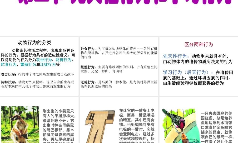八年级生物上册 第二章 第二节 先天性行为和学习行为课件1 新人教版