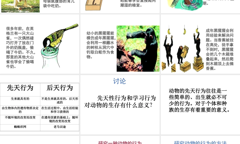 八年级生物上册 第二章 第二节 先天性行为和学习行为课件1 新人教版