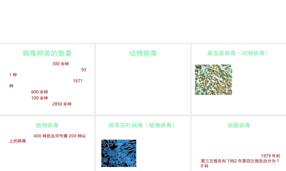 八年级生物上册 第五单元 第一章 第二节 病毒 病毒的种类课件 冀少版-人教级上册生物课件