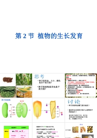 八年级生物上册 第7单元 第19章 第2节 植物的生长发育课件2 （新版）苏科版-（新版）苏科级上册生物课件