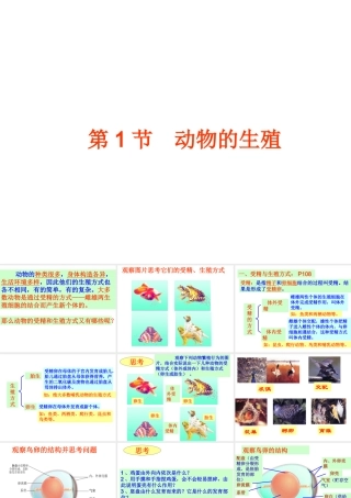 八年级生物上册 第7单元 第20章 第1节 动物的生殖课件 （新版）苏科版-（新版）苏科版初中八年级上册生物课件