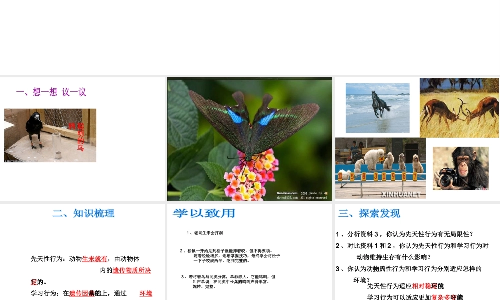 八年级生物上册 第二章 第二节 先天性行为和学习行为课件2 新人教版