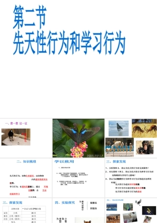 八年级生物上册 第二章 第二节 先天性行为和学习行为课件2 新人教版