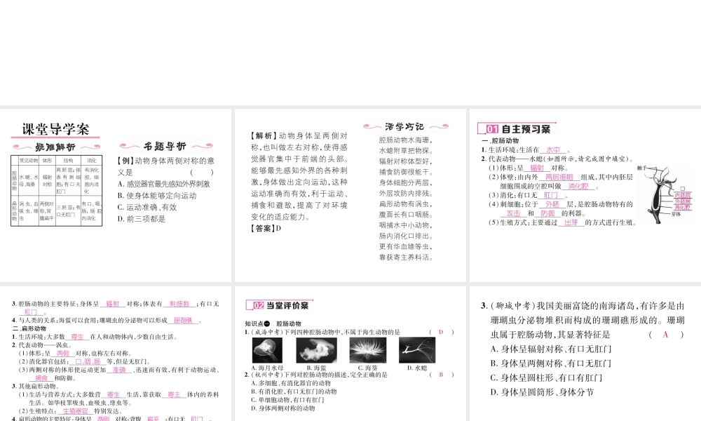 八年级生物上册 第五单元 第1章 第一节 腔肠动物和扁形动物课件 （新版）新人教版-（新版）新人教级上册生物课件