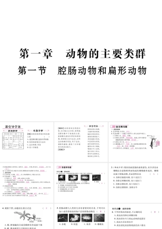 八年级生物上册 第五单元 第1章 第一节 腔肠动物和扁形动物课件 （新版）新人教版-（新版）新人教级上册生物课件