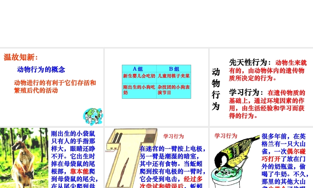 八年级生物上册 第二章 第二节 先天性行为和学习行为课件3 新人教版