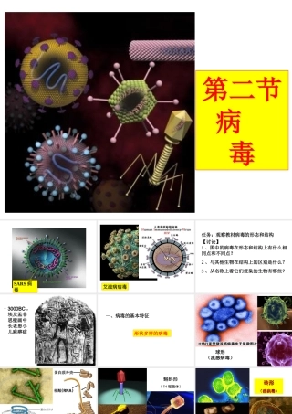 八年级生物上册 第五单元 第一章 第二节 病毒课件 冀少版-人教级上册生物课件