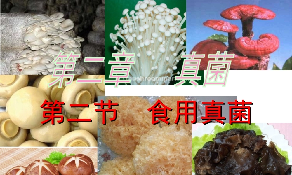 八年级生物上册 第5单元 第2章 第2节 食用真菌课件 （新版）冀教版-（新版）冀教级上册生物课件