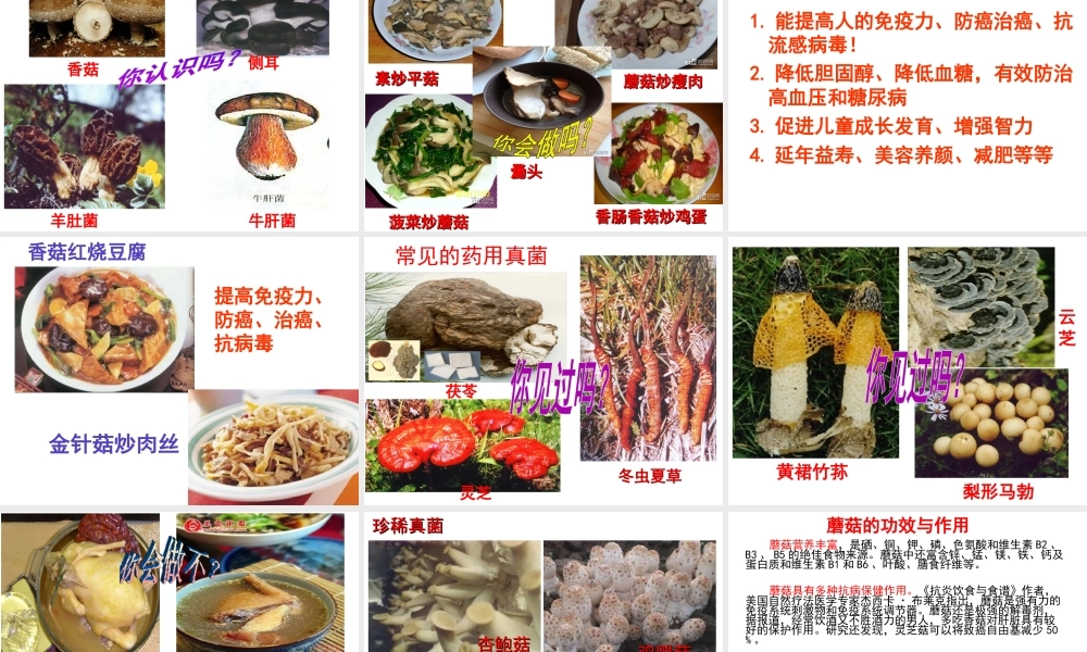 八年级生物上册 第5单元 第2章 第2节 食用真菌课件 （新版）冀教版-（新版）冀教级上册生物课件