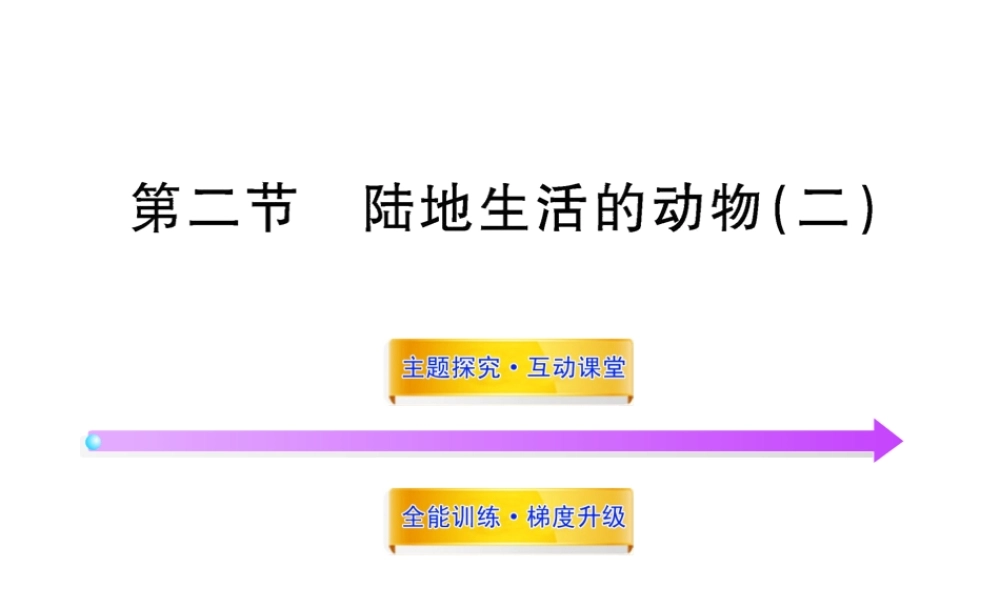 八年级生物上册 第五单元 第一章 第二节 陆地生活的动物（二）课件 新人教版
