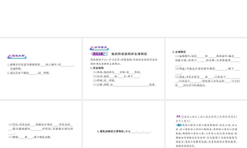 八年级生物上册 第五单元 第一章 第二节 陆地生活的动物（二）课件 新人教版