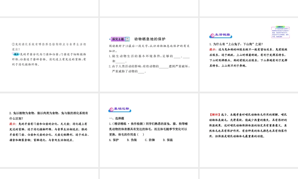 八年级生物上册 第五单元 第一章 第二节 陆地生活的动物（二）课件 新人教版