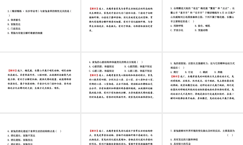 八年级生物上册 第五单元 第一章 第二节 陆地生活的动物（二）课件 新人教版