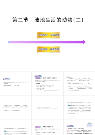 八年级生物上册 第五单元 第一章 第二节 陆地生活的动物（二）课件 新人教版