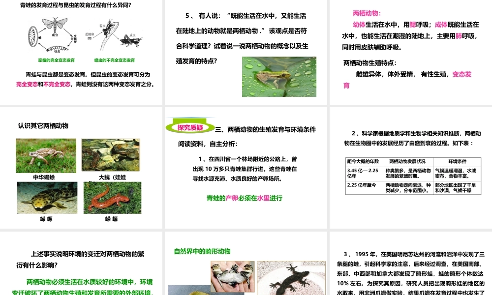 八年级生物上册 第二章 第二节《两栖动物的生殖和发育》课件 （新版）济南版