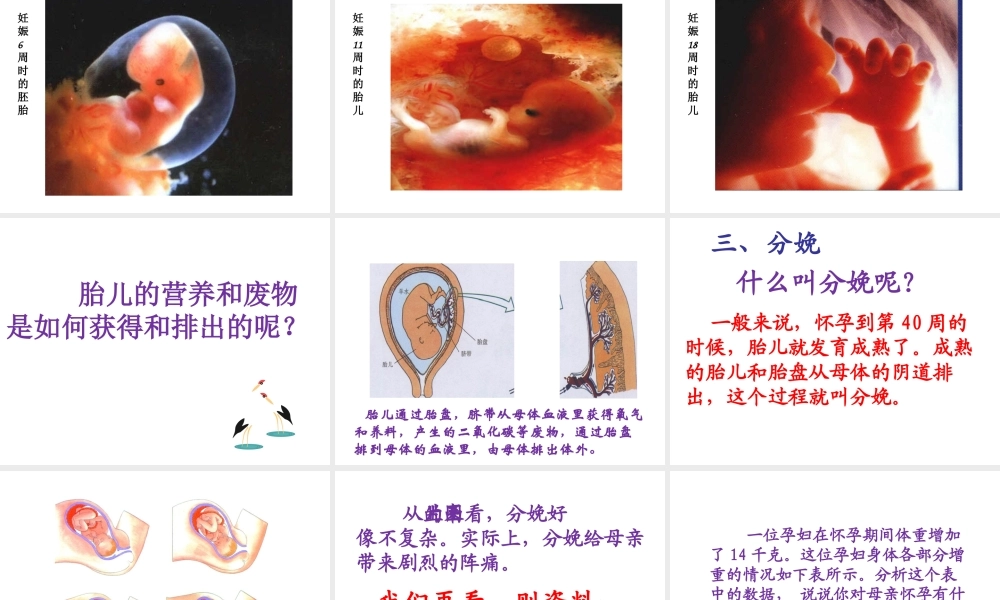八年级生物上册 第7单元 第21章 第1节 人的生殖课件1 （新版）苏科版-（新版）苏科级上册生物课件