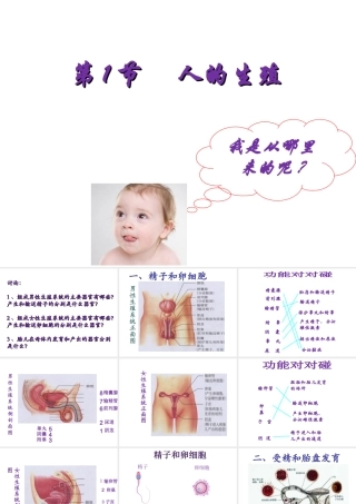 八年级生物上册 第7单元 第21章 第1节 人的生殖课件1 （新版）苏科版-（新版）苏科级上册生物课件