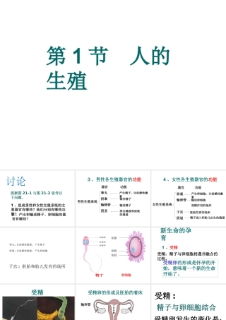 八年级生物上册 第7单元 第21章 第1节 人的生殖课件2 （新版）苏科版-（新版）苏科版初中八年级上册生物课件