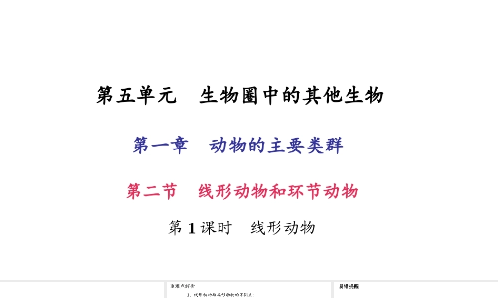 八年级生物上册 第五单元 第一章 第二节 线形动物和环节动物（第1课时 线形动物）习题课件 （新版）新人教版-（新版）新人教版初中八年级上册生物课件