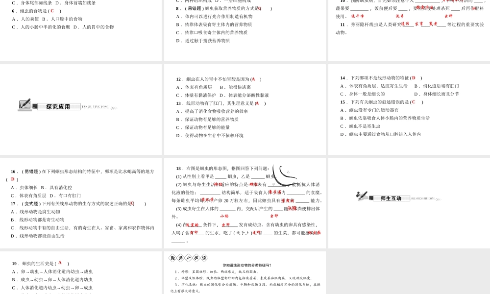 八年级生物上册 第五单元 第一章 第二节 线形动物和环节动物（第1课时 线形动物）习题课件 （新版）新人教版-（新版）新人教版初中八年级上册生物课件