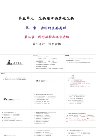 八年级生物上册 第五单元 第一章 第二节 线形动物和环节动物（第1课时 线形动物）习题课件 （新版）新人教版-（新版）新人教版初中八年级上册生物课件