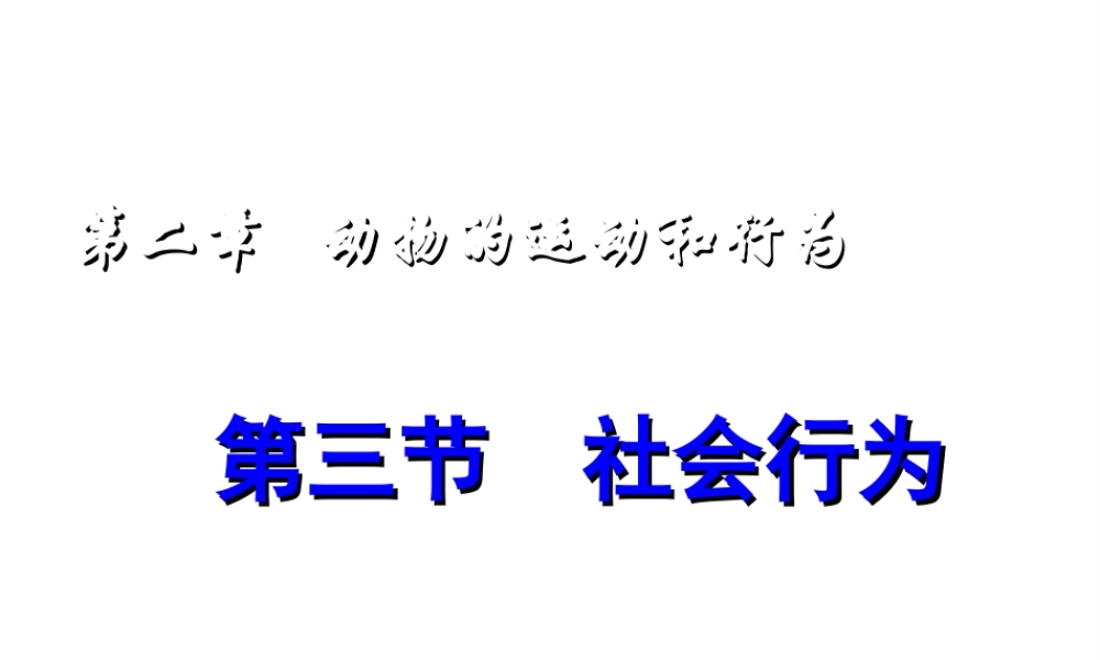 八年级生物上册 第二章 第三节《社会行为》课件 新人教版