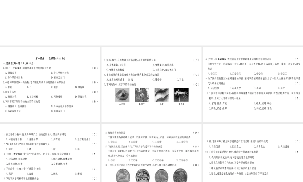 八年级生物上册 第五单元 第1章 动物的主要类群测评卷习题课件 （新版）新人教版-（新版）新人教级上册生物课件
