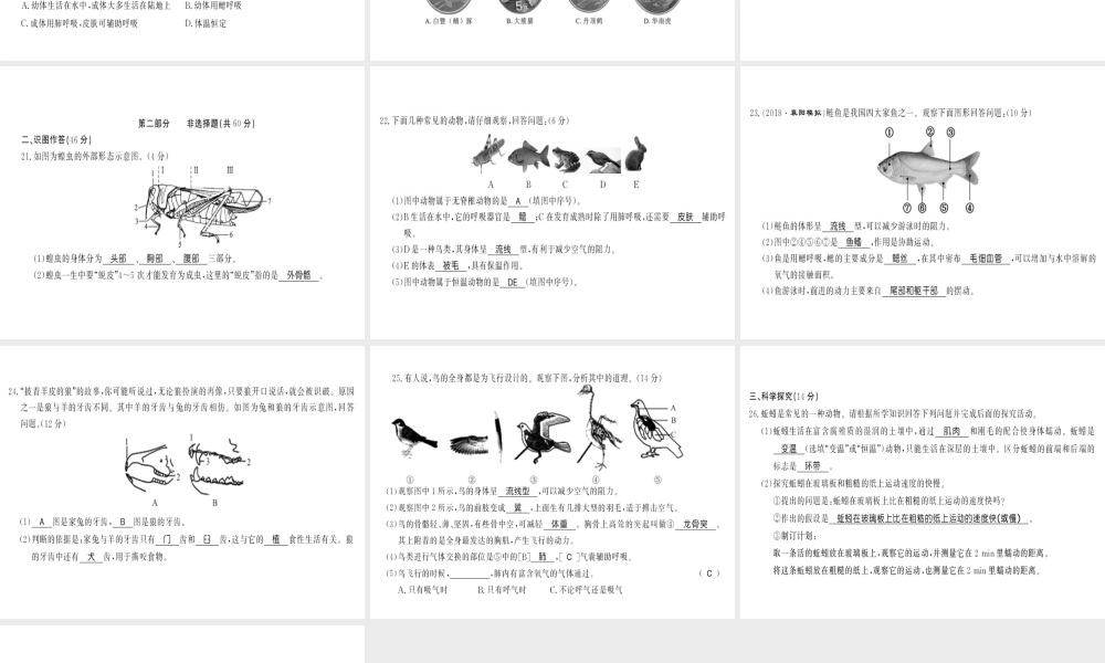 八年级生物上册 第五单元 第1章 动物的主要类群测评卷习题课件 （新版）新人教版-（新版）新人教级上册生物课件