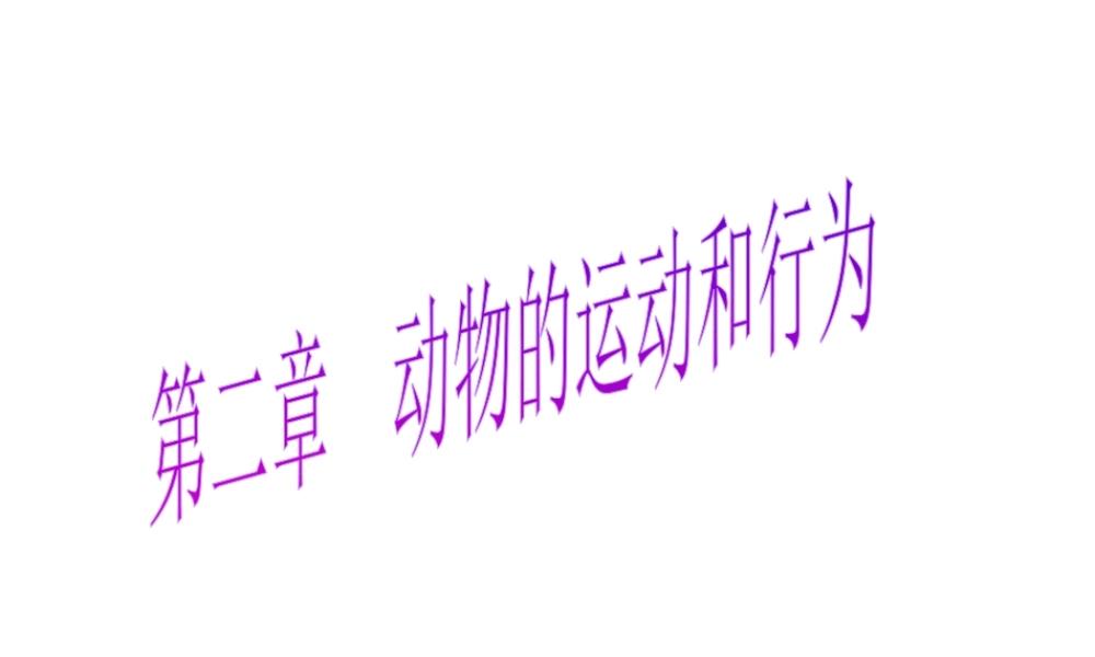八年级生物上册 第二章 第一节 动物的运动和行为课件 新人教版