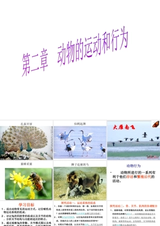 八年级生物上册 第二章 第一节 动物的运动和行为课件 新人教版