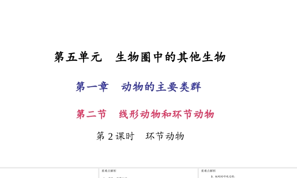 八年级生物上册 第五单元 第一章 第二节 线形动物和环节动物（第2课时 环节动物）习题课件 （新版）新人教版-（新版）新人教版初中八年级上册生物课件