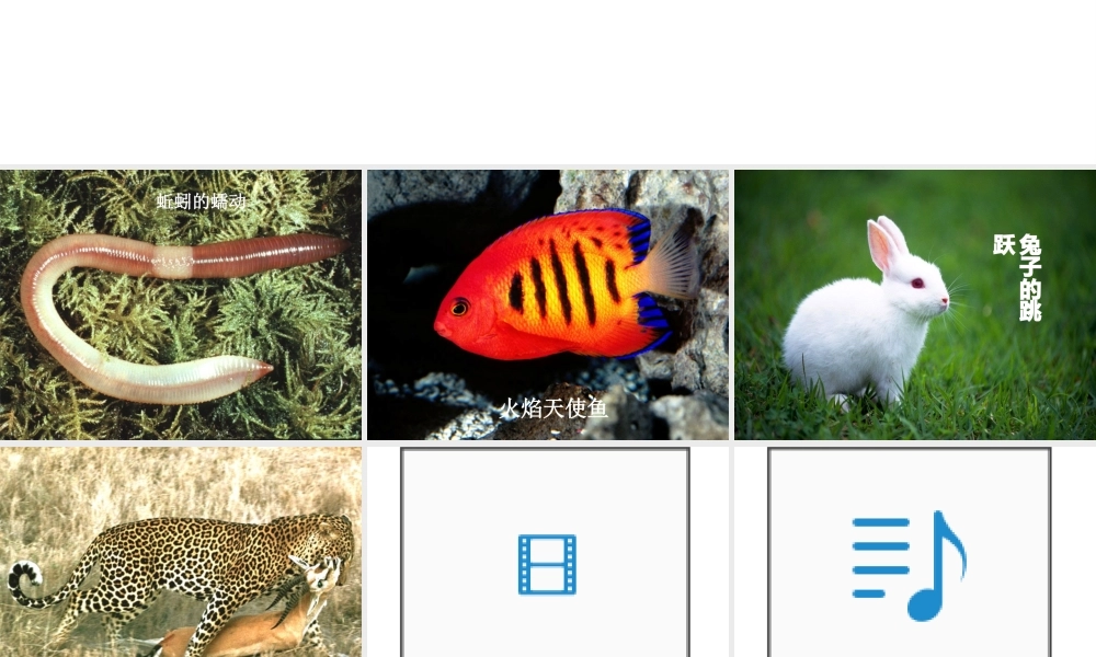 八年级生物上册 第二章 第一节 动物的运动课件 （新版）新人教版